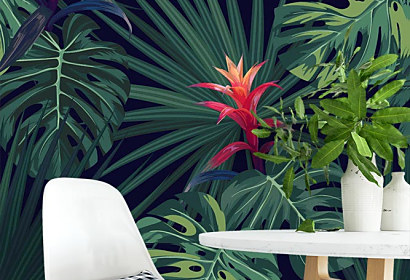 Fototapeta guzmania flowers 14004